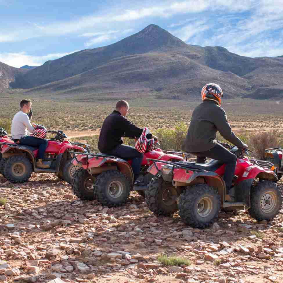 Quadbike safari park in Cape Town South Africa