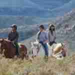 Horseback safari close to Cape Town