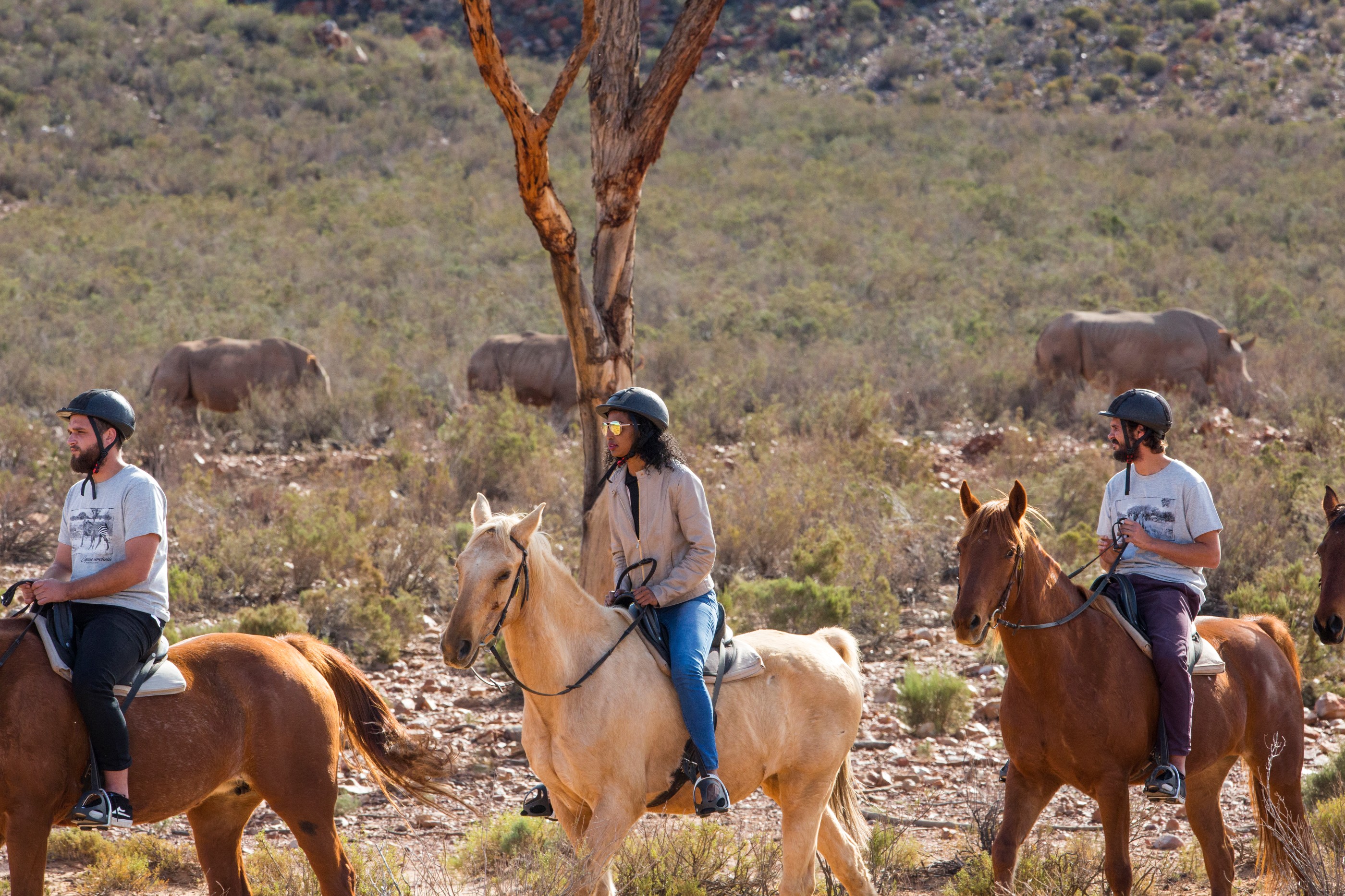 Horseback Safari Cape Town