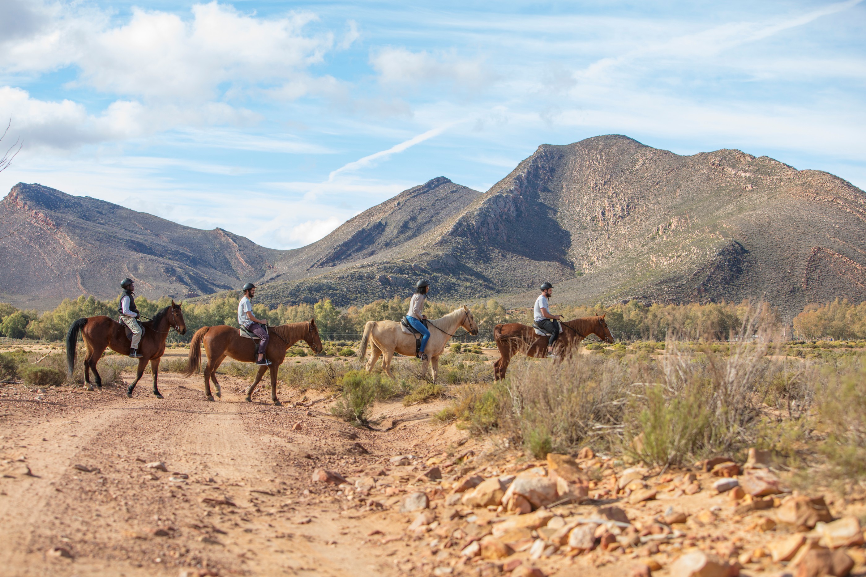 Exciting Big 5 Safaris Close to Cape Town in South Africa