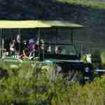 Safari Game drive close to Cape Town