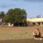 Wildlife at Gorah Elephant Camp