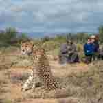 close up wildlife spotting at Sanbona