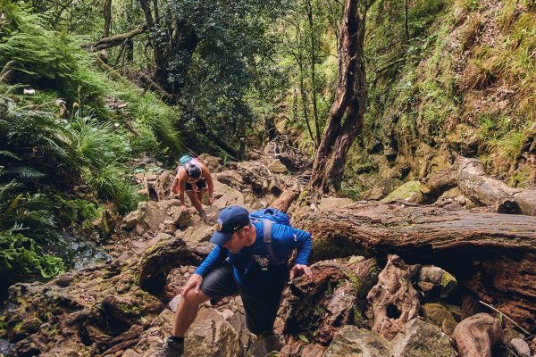 Skeleton Gorge Hike Addicts