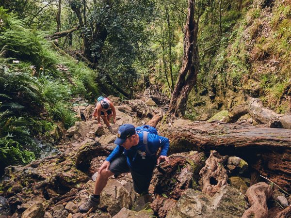 Skeleton Gorge Hike Addicts